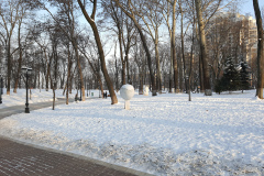 2021-01-20-14.53.16