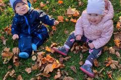 IMG_20221012_195649_413