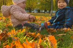 IMG_20221012_195724_698