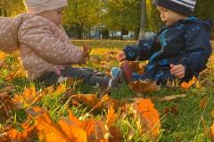 IMG_20221012_195729_376