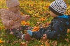 IMG_20221012_195738_072