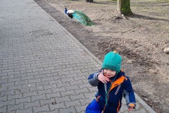 IMG_20240226_095541_886