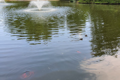 20220612_161739