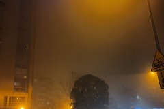 20221031_193208